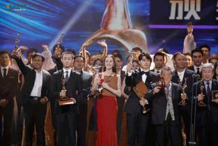 金鹰奖,璀璨星光下的影视盛宴