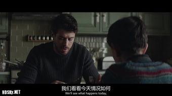 h电影,揭秘人性深处的黑暗与光明